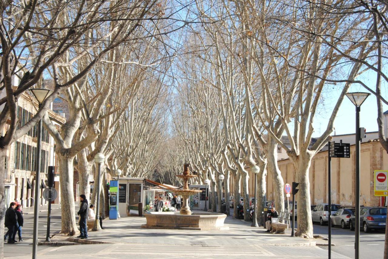 Cream Homes La Rambla, Turismo De Interior Palma de Maiorca